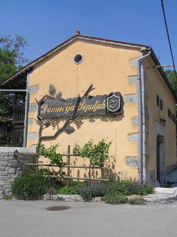 Guesthouse Domacija Sajna Sežana Zewnętrze zdjęcie